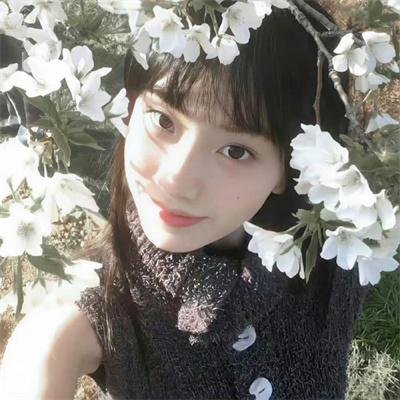 九星报喜